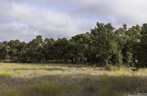 Lot 1 Legacy Hills Johnson City TX 78636