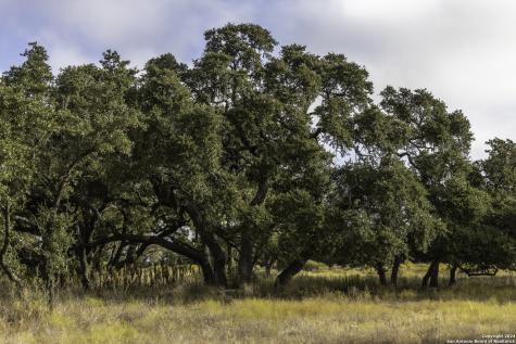 Lot 1 Legacy Hills Johnson City TX 78636