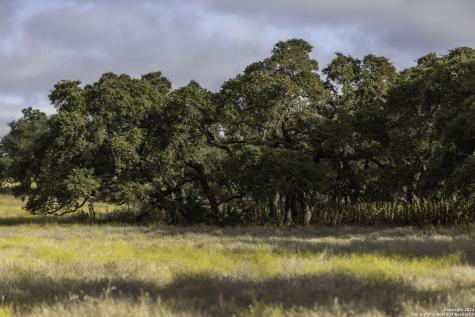 Lot 1 Legacy Hills Johnson City TX 78636