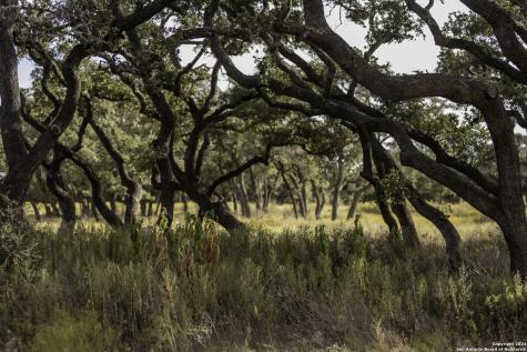 Lot 1 Legacy Hills Johnson City TX 78636
