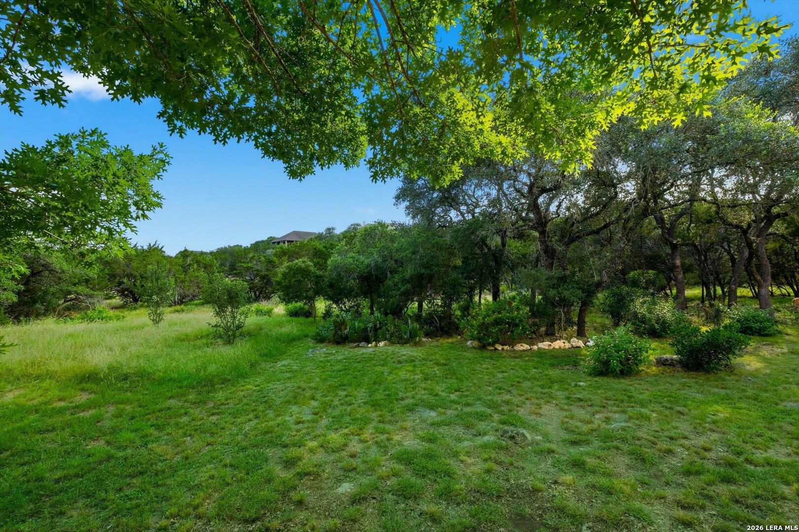 24219 Bear Mountain San Antonio TX 78258