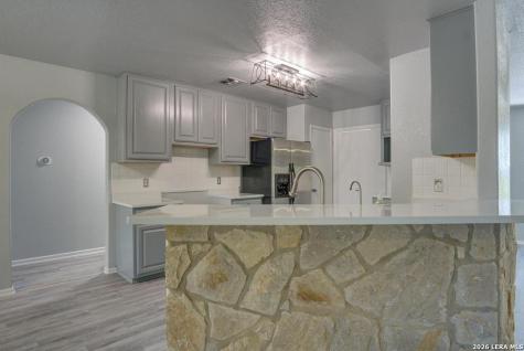 310 Remington Drive Bergheim TX 78004