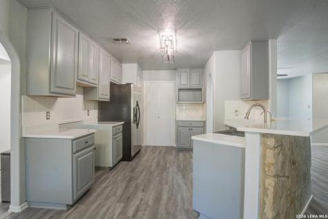 310 Remington Drive Bergheim TX 78004
