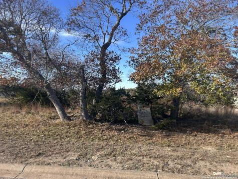 1222 Libby Lookout Canyon Lake TX 78133