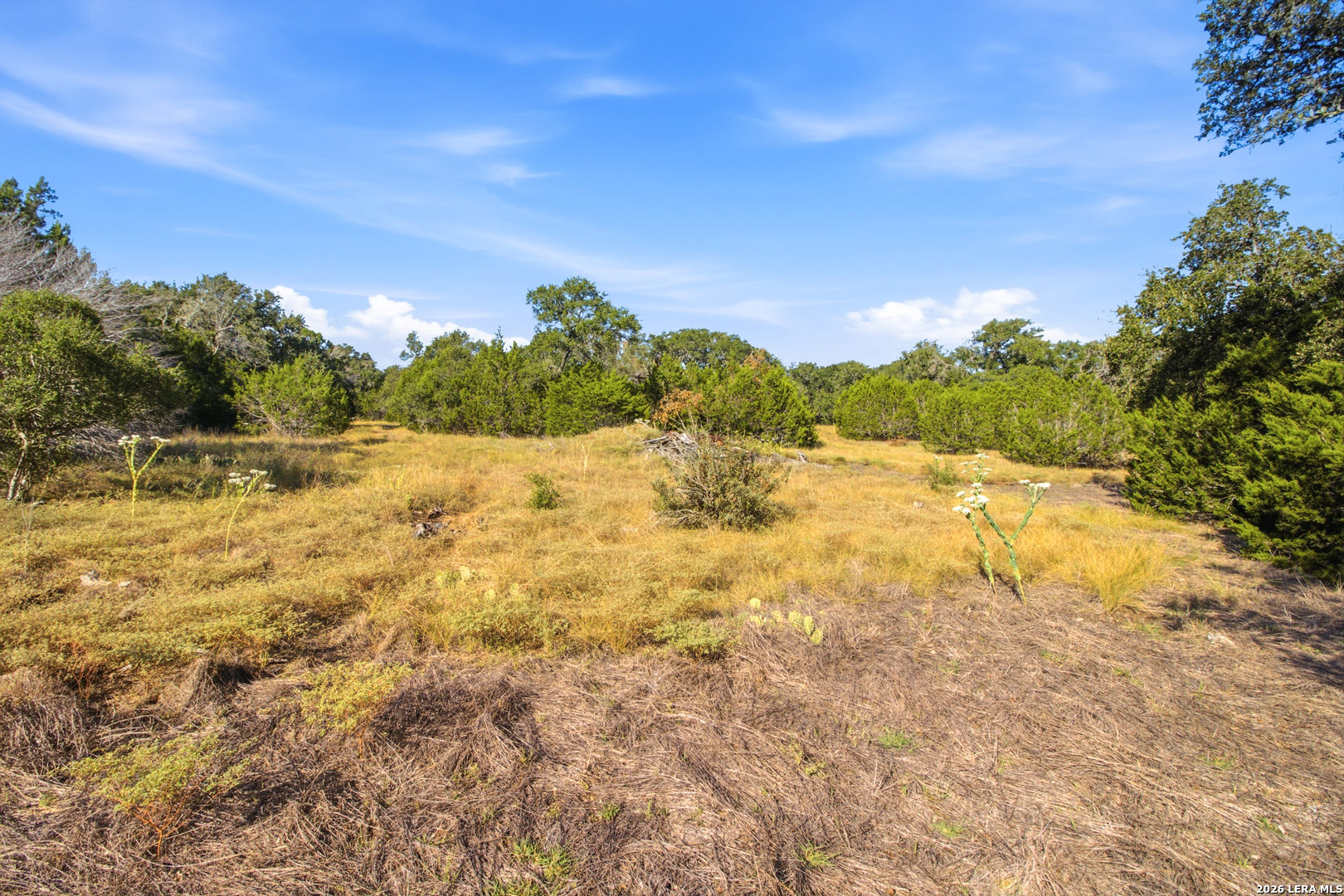 147 Green Valley Court Pipe Creek TX 78063
