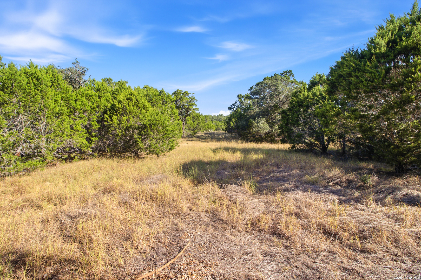 147 Green Valley Court Pipe Creek TX 78063