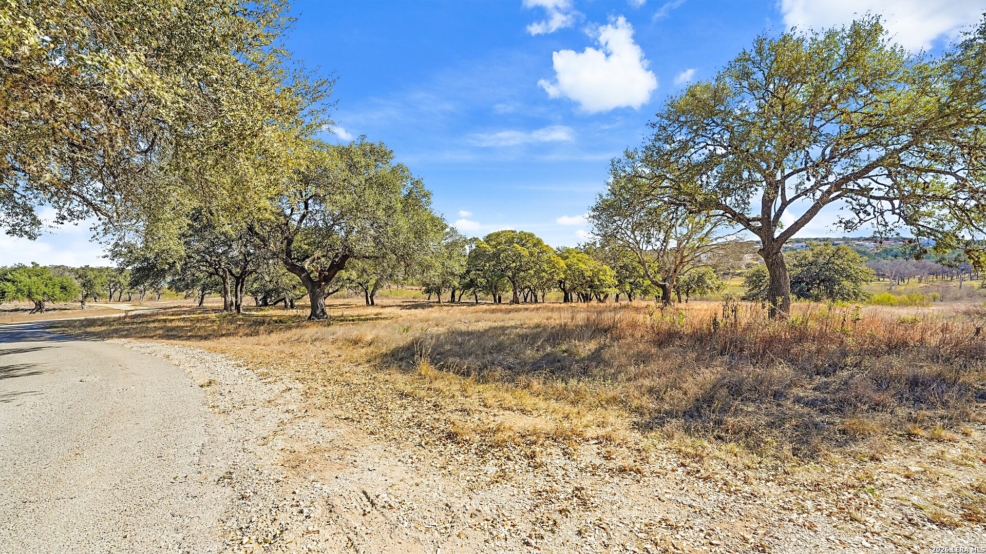 113 Creekview Drive Canyon Lake TX 78133