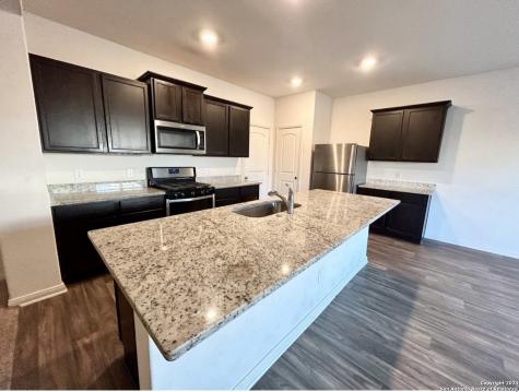 15114 N Harbor Landing Von Ormy TX 78073