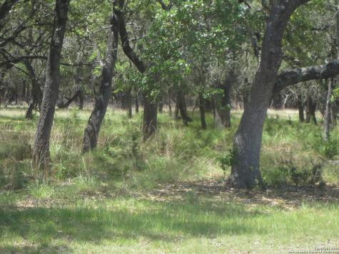 1318 Oakridge Lane Pipe Creek TX 78063