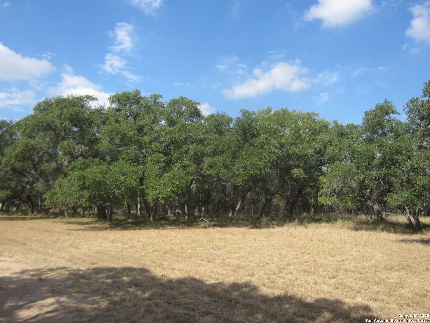 1318 Oakridge Lane Pipe Creek TX 78063