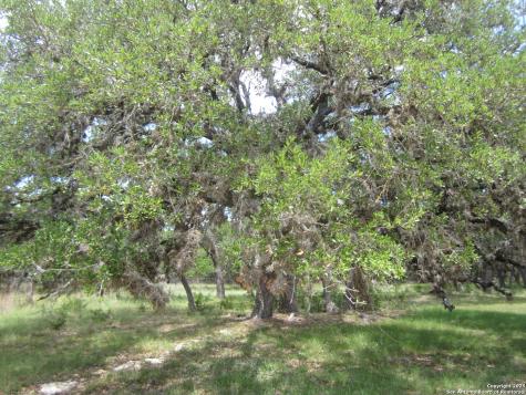 1318 Oakridge Lane Pipe Creek TX 78063