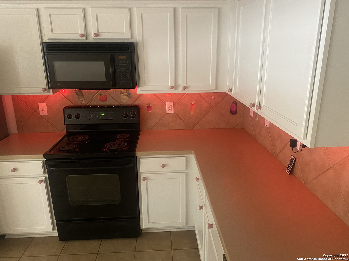 1006 Magnolia Summit San Antonio TX 78251