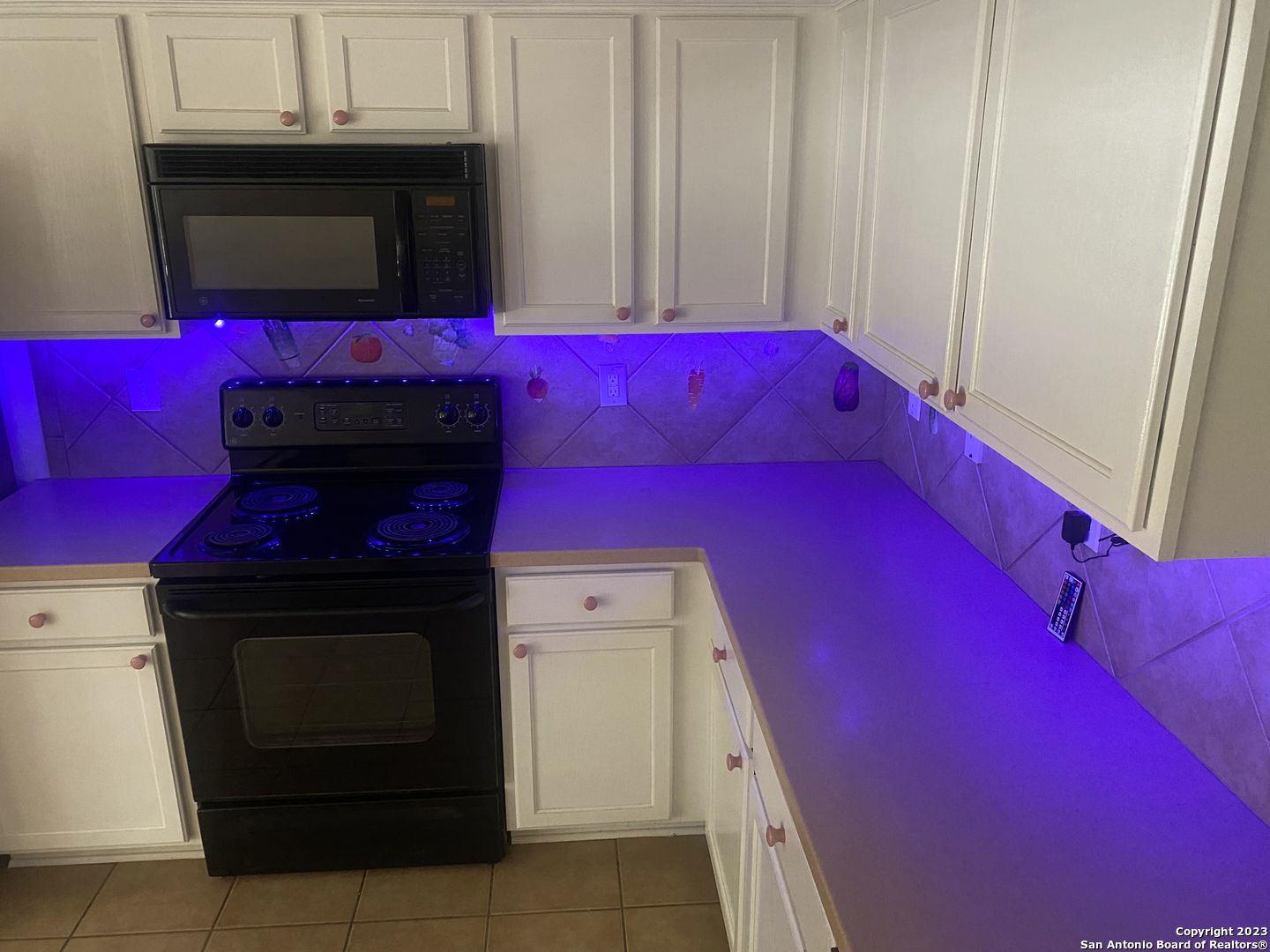 1006 Magnolia Summit San Antonio TX 78251