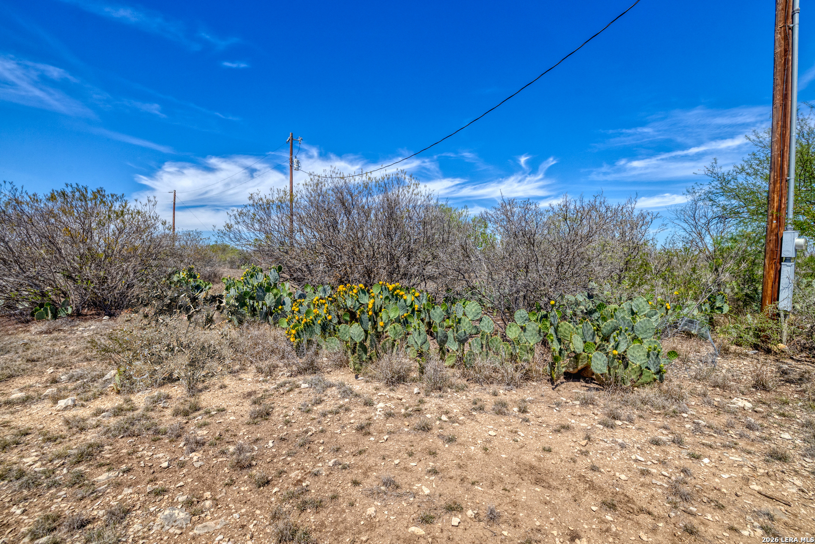 2292 County Road 400 Uvalde TX 78801