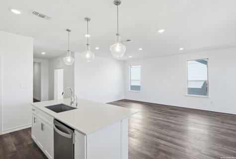 176 Thorny Grove San Antonio TX 78253
