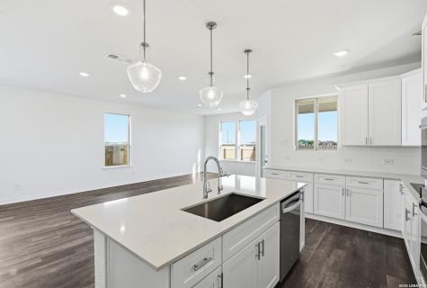 176 Thorny Grove San Antonio TX 78253