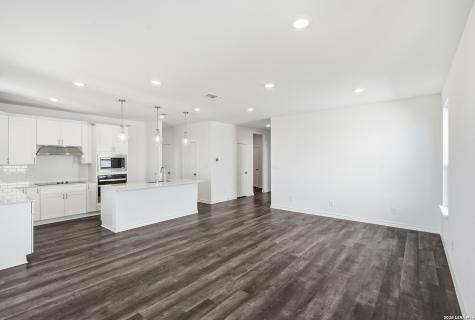 176 Thorny Grove San Antonio TX 78253