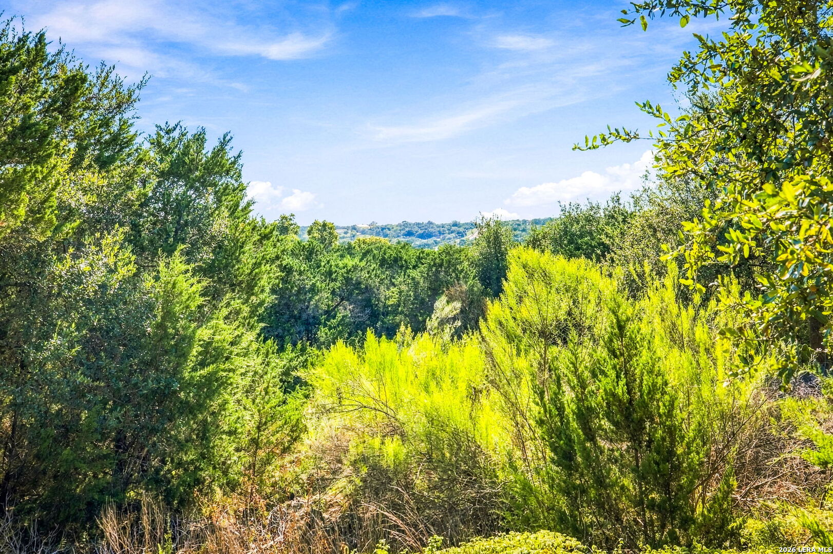 1655 Rocky Ridge Loop Canyon Lake TX 78133