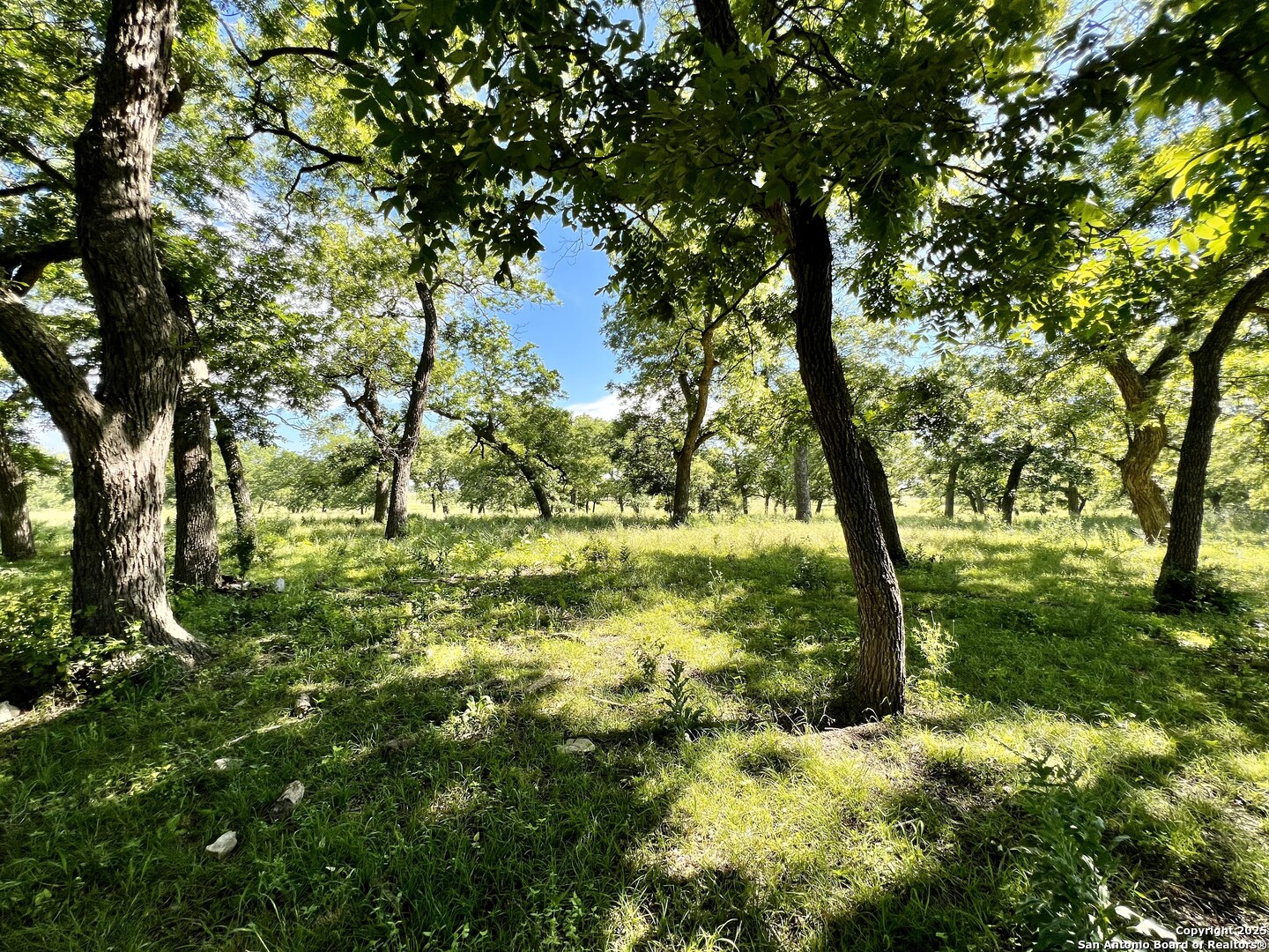1543 Cr 215 Bertram TX 78605