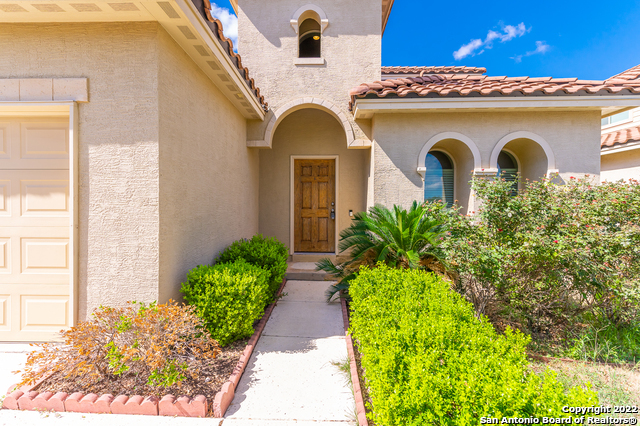 18007 Muir Glen Drive San Antonio TX 78257