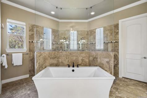 210 Persimmon Pond Shavano Park TX 78231