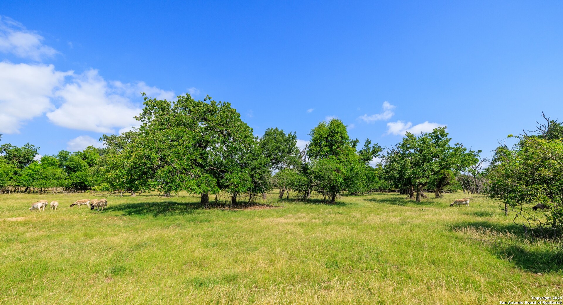 8218 N Us Highway 87 Fredericksburg TX 78624