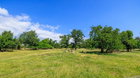 8218 N Us Highway 87 Fredericksburg TX 78624