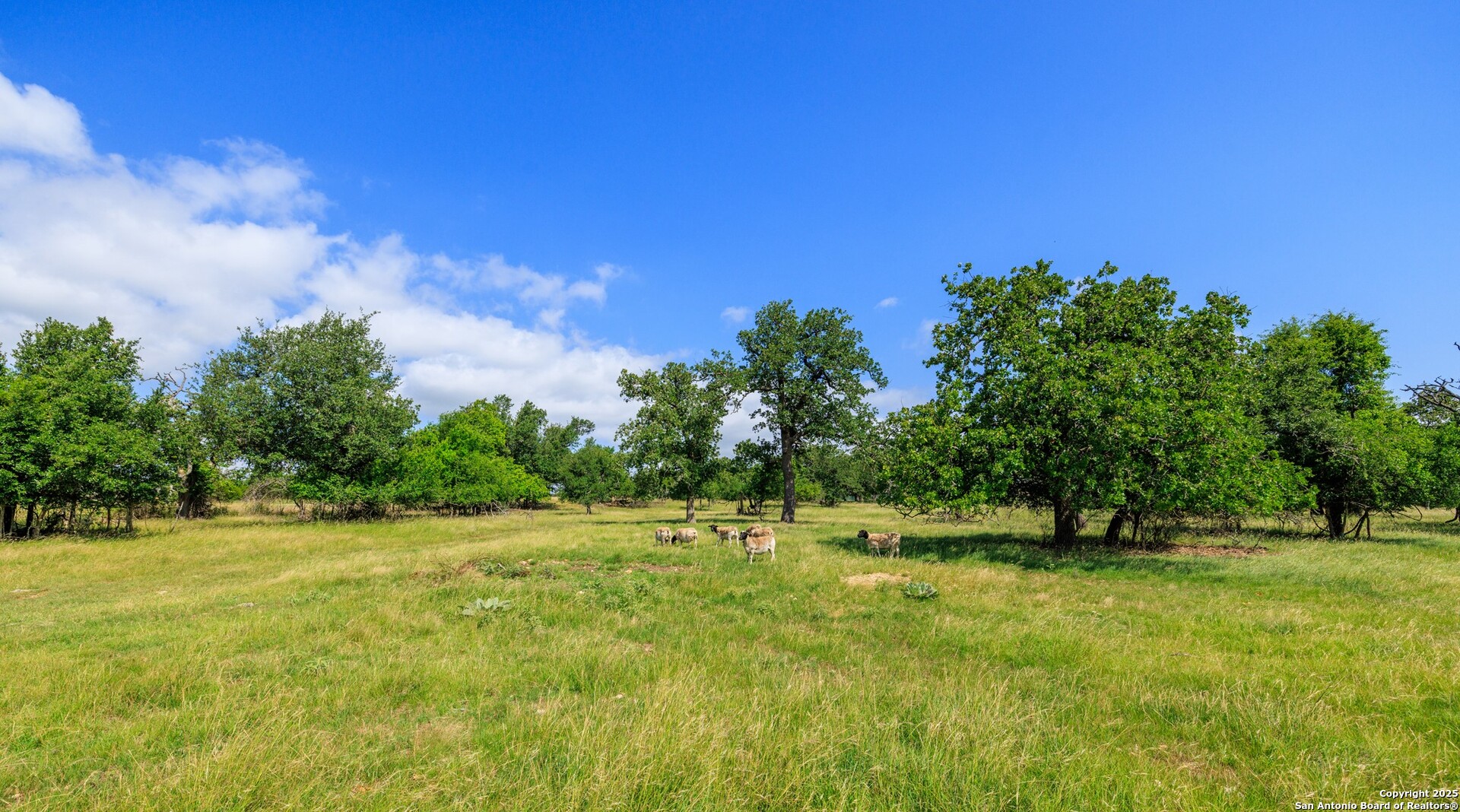 8218 N Us Highway 87 Fredericksburg TX 78624