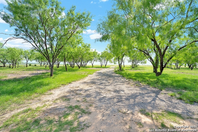 1029 Nickerson Farms Road Seguin TX 78155