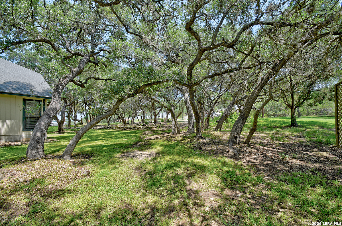 26246 High Timber Pass Street San Antonio TX 78260