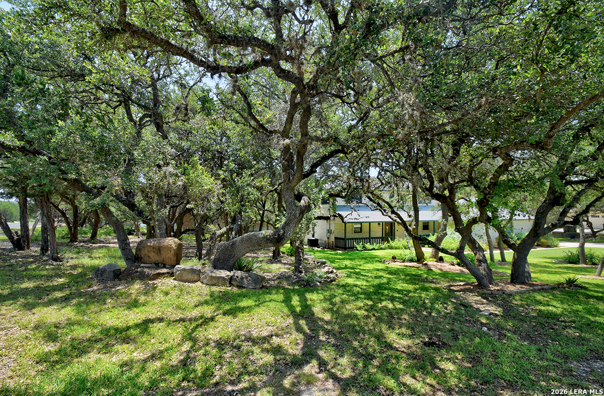 26246 High Timber Pass Street San Antonio TX 78260