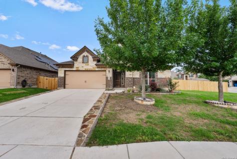 22012 Gypsy View San Antonio TX 78261