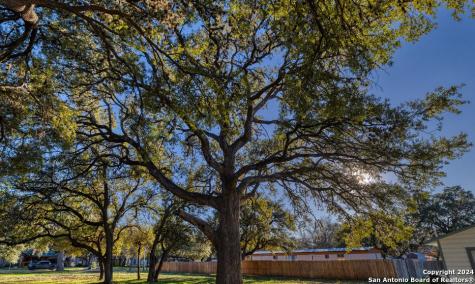 210 E. 2nd Street Camp Wood TX 78833