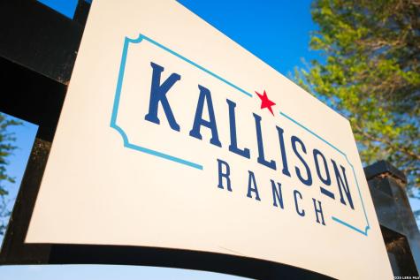 8822 Kallison Arbor San Antonio TX 78254