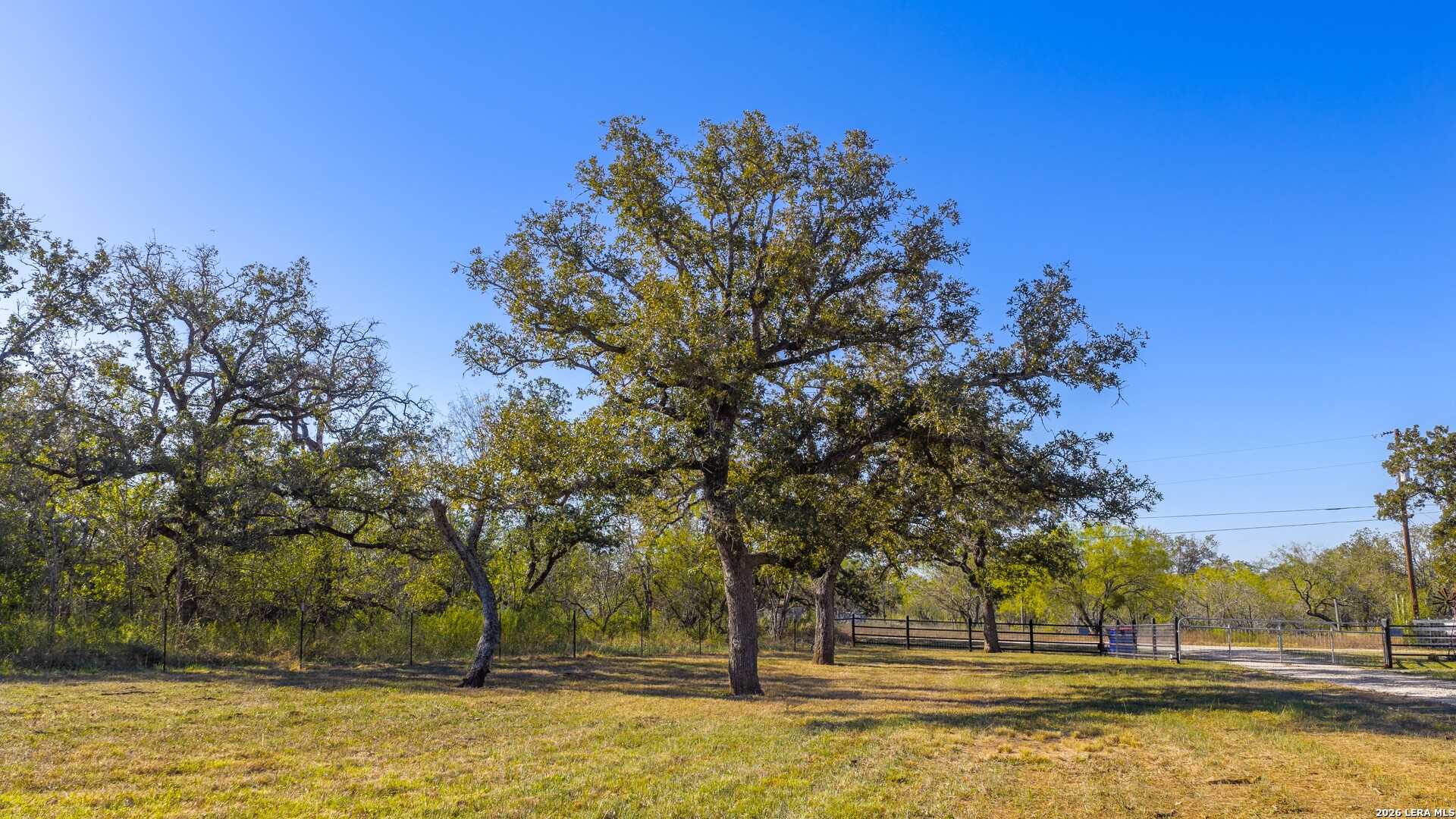 594 Sleepy Meadow Nixon TX 78140
