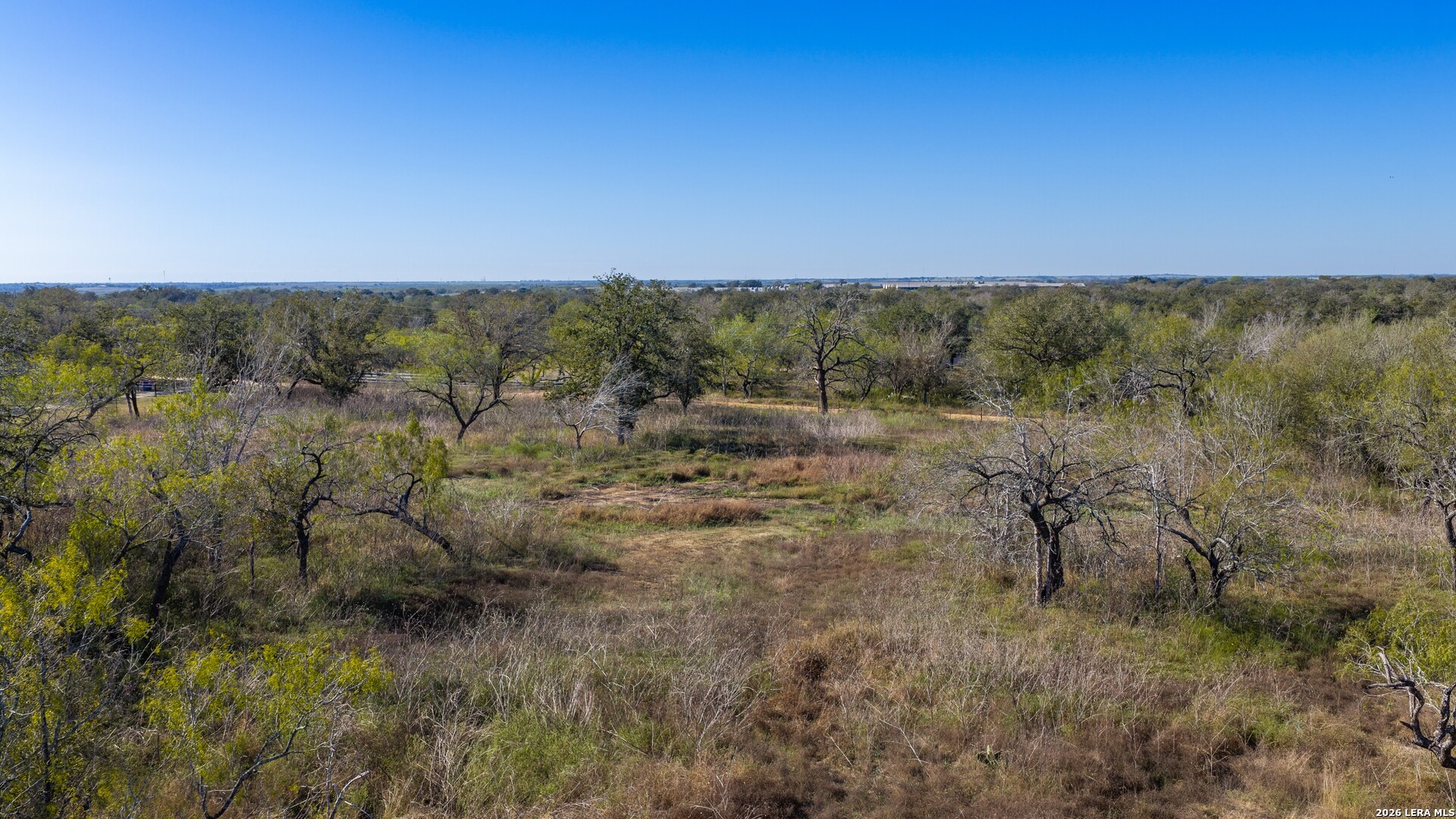 594 Sleepy Meadow Nixon TX 78140