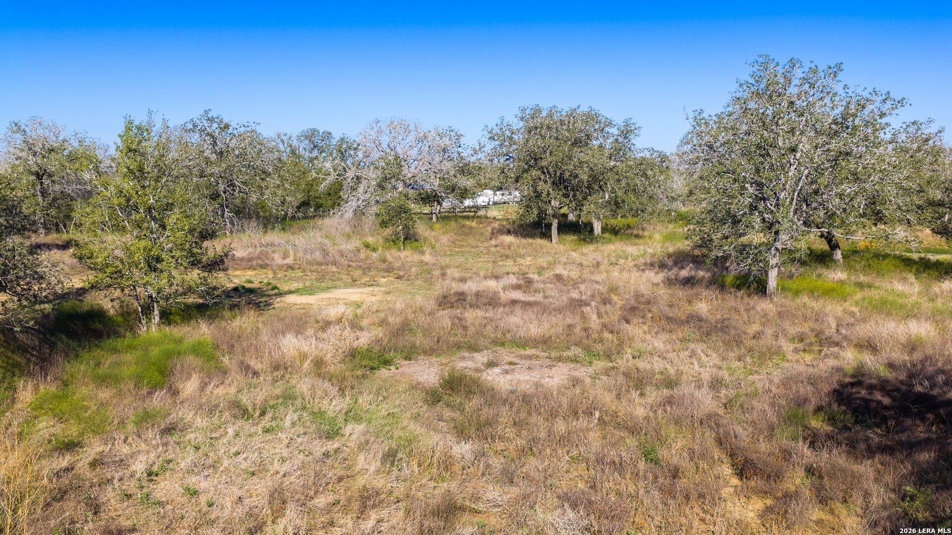594 Sleepy Meadow Nixon TX 78140