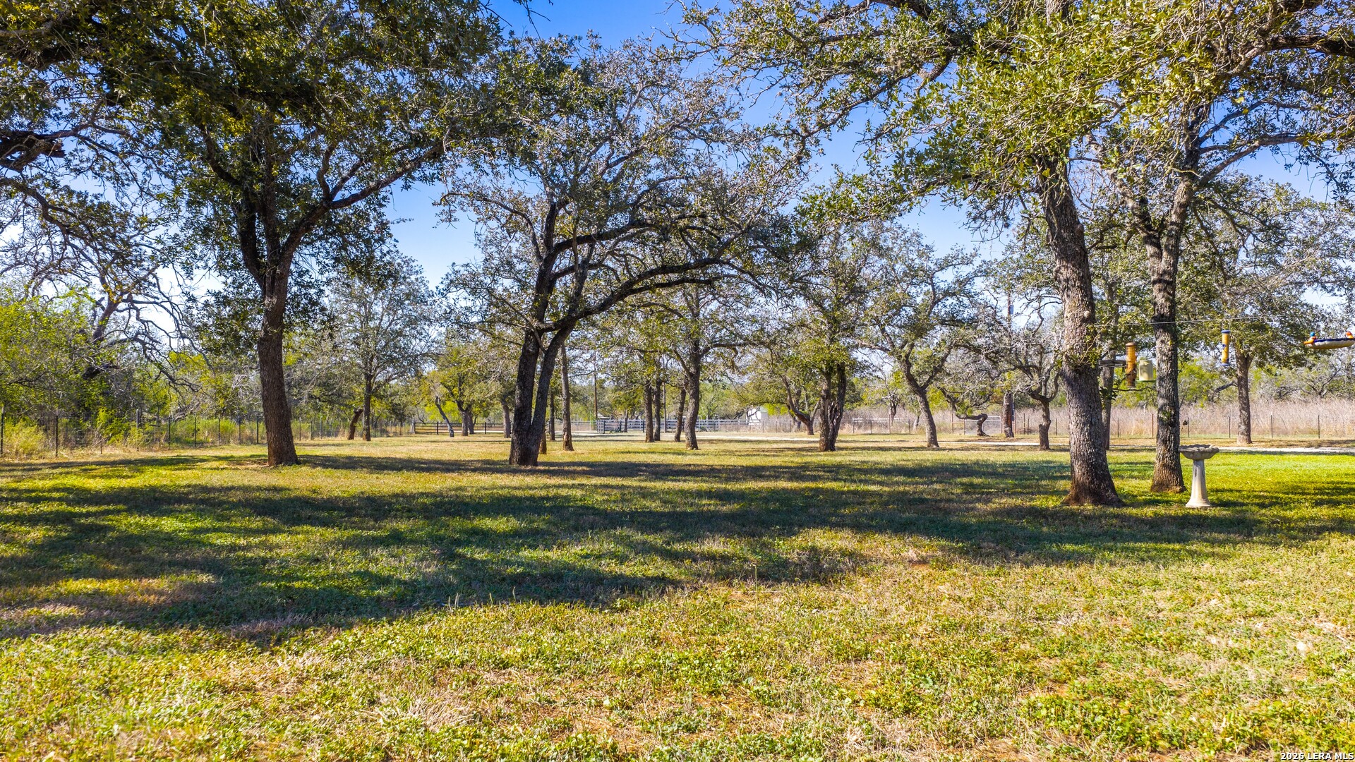 594 Sleepy Meadow Nixon TX 78140