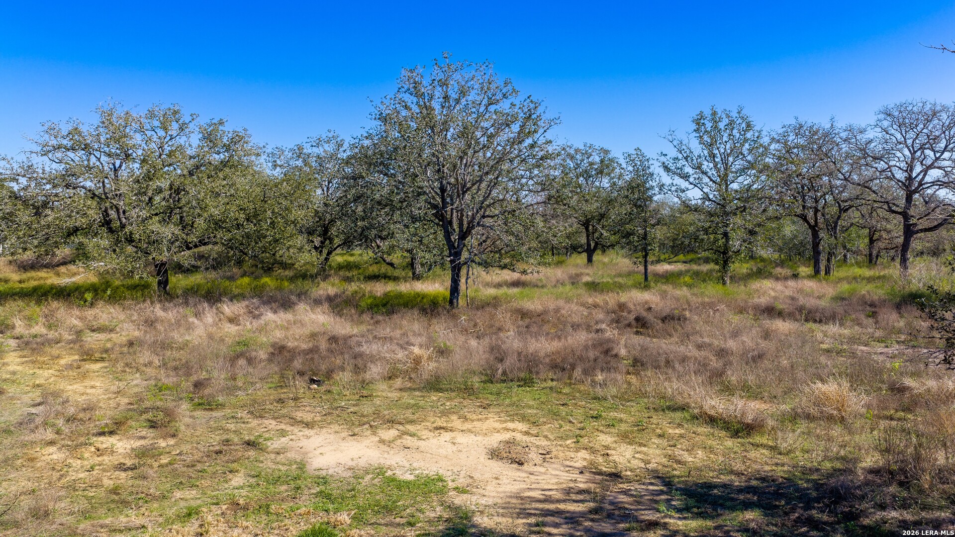 594 Sleepy Meadow Nixon TX 78140
