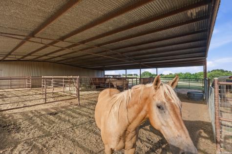 10085 Fm 775 La Vernia TX 78121