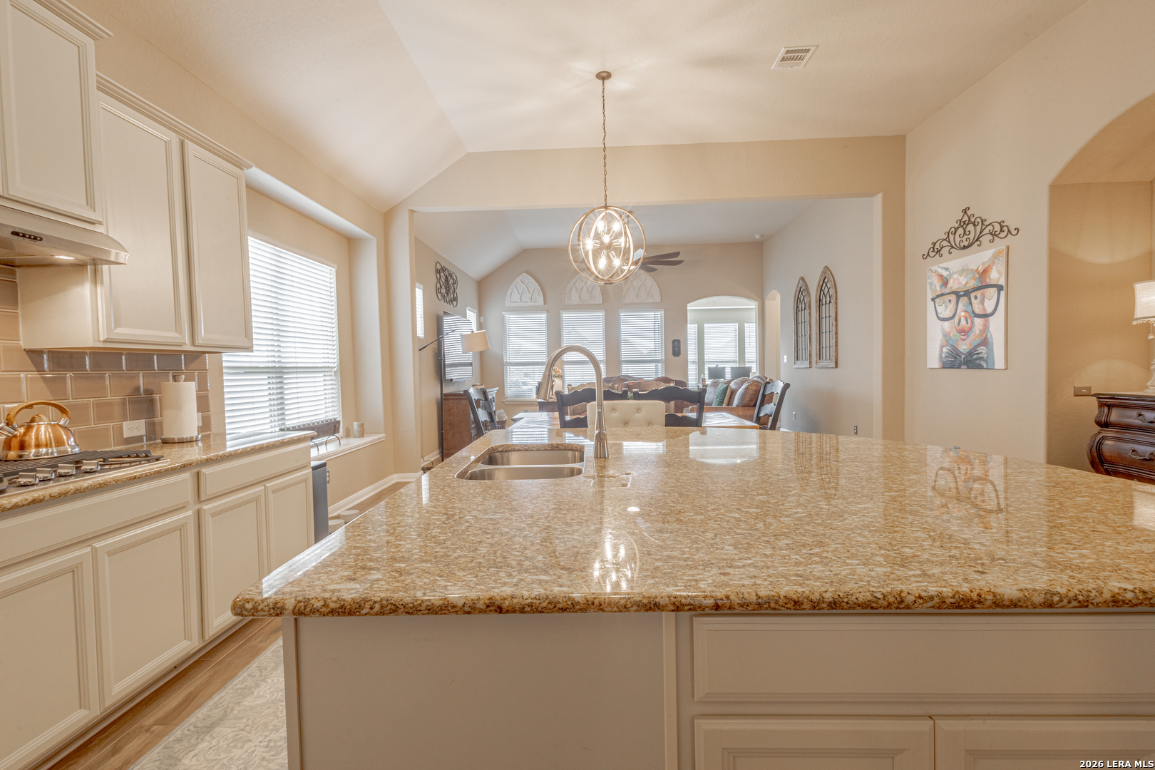 832 Silver Fox Cibolo TX 78108