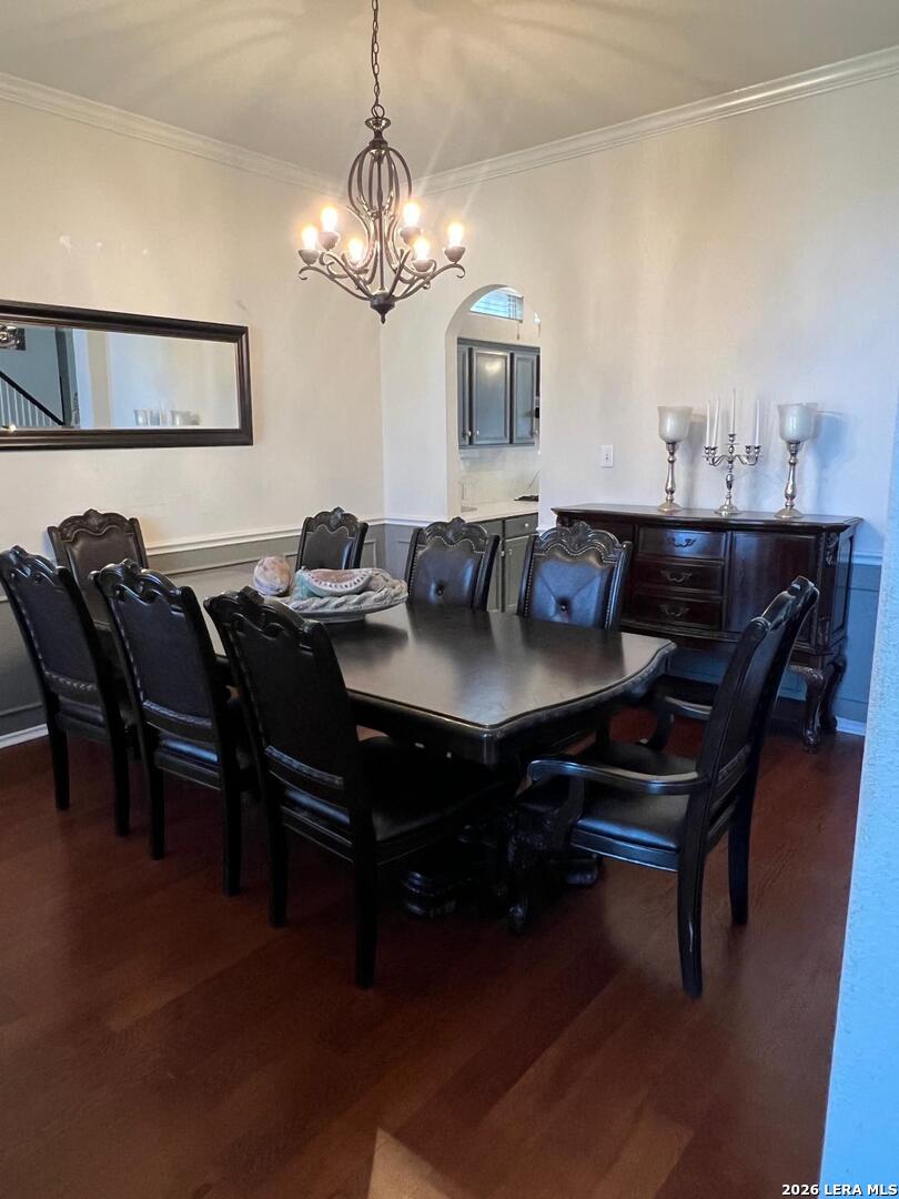 19531 Azure Oak San Antonio TX 78258
