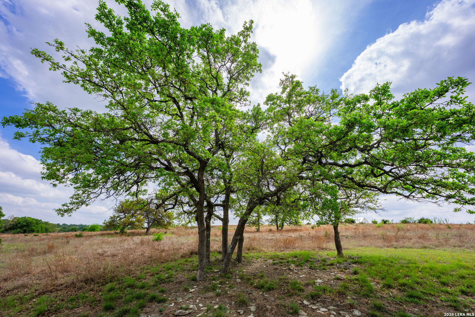 830 Camino Cantera Boerne TX 78006