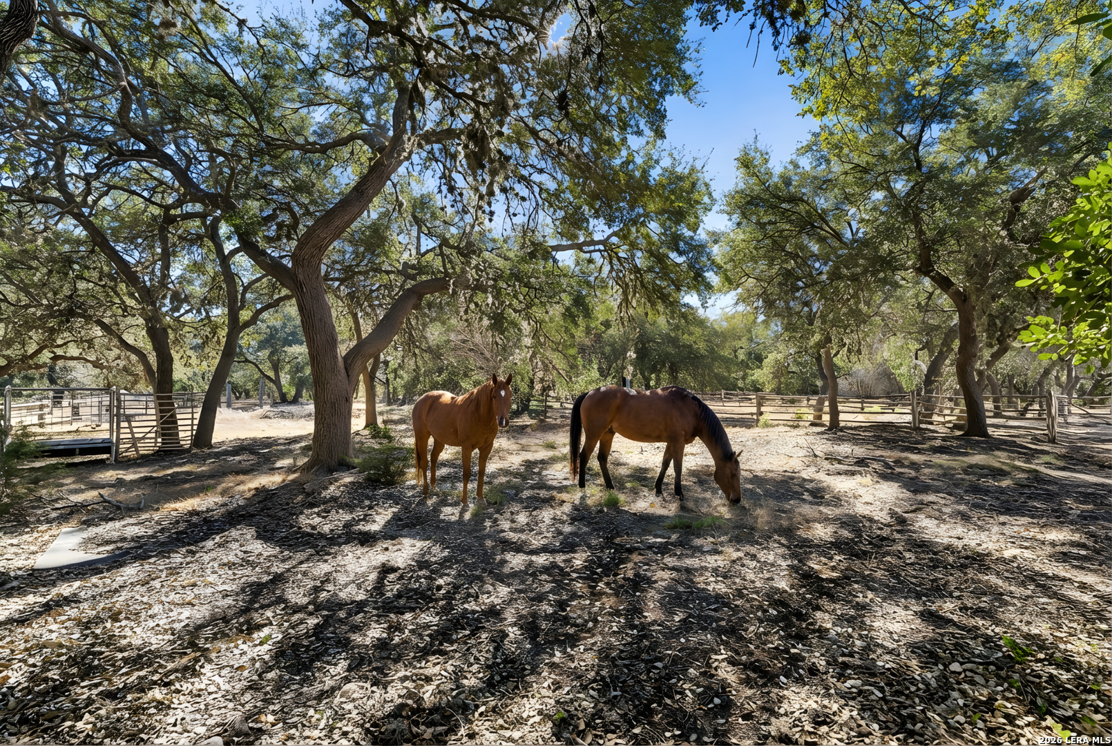 5301 W Ammann Bulverde TX 78163