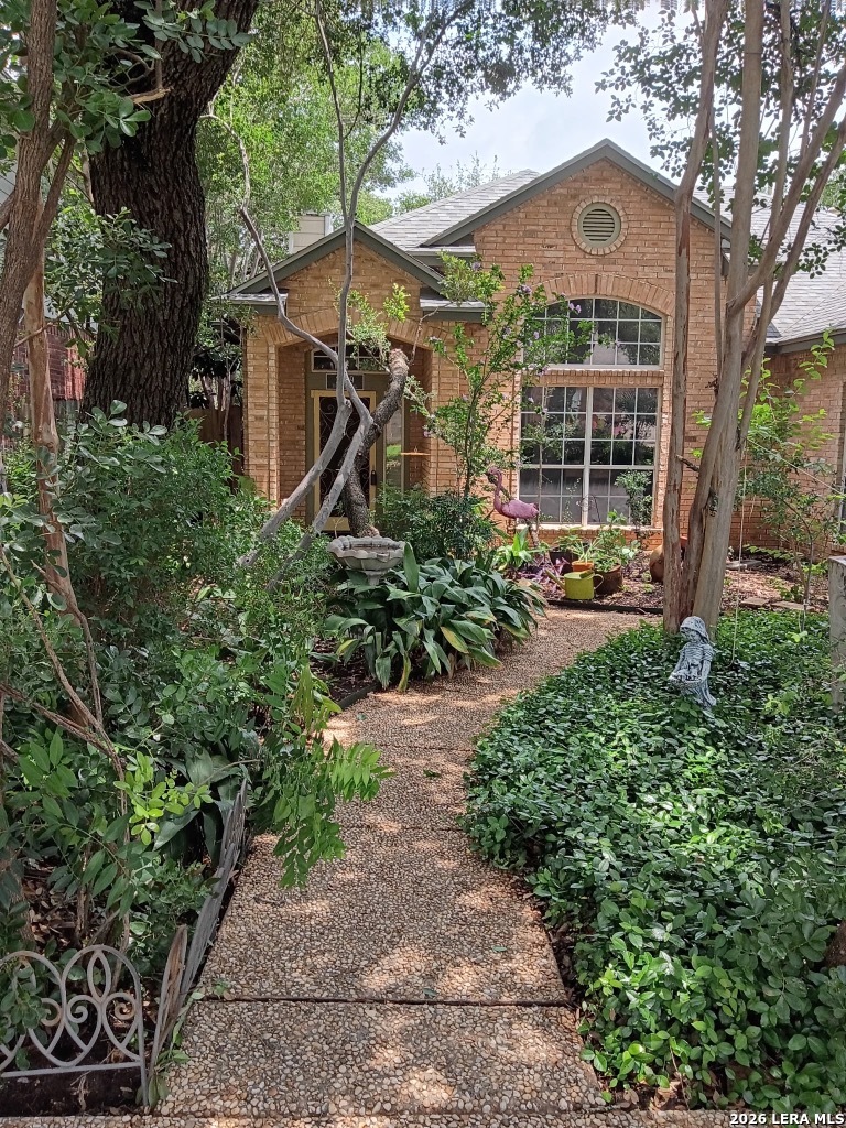 2039 Thicket Trail Drive San Antonio TX 78248
