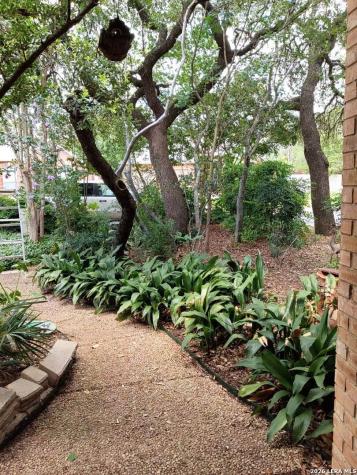 2039 Thicket Trail Drive San Antonio TX 78248