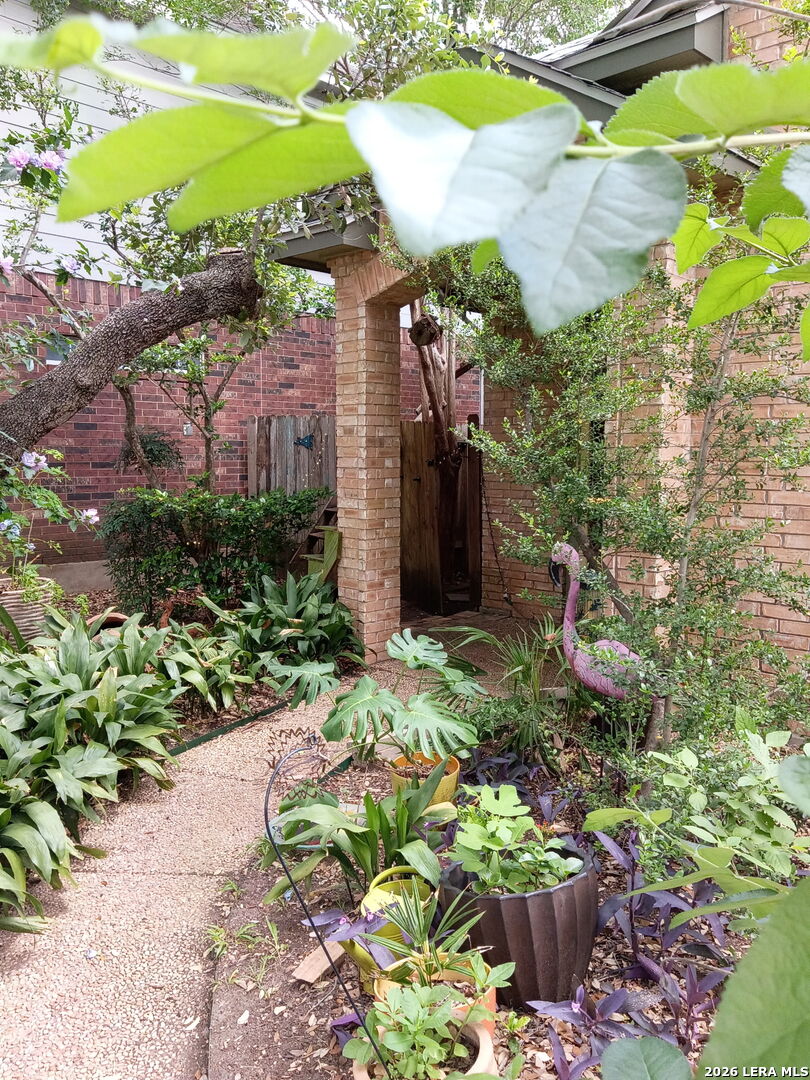 2039 Thicket Trail Drive San Antonio TX 78248