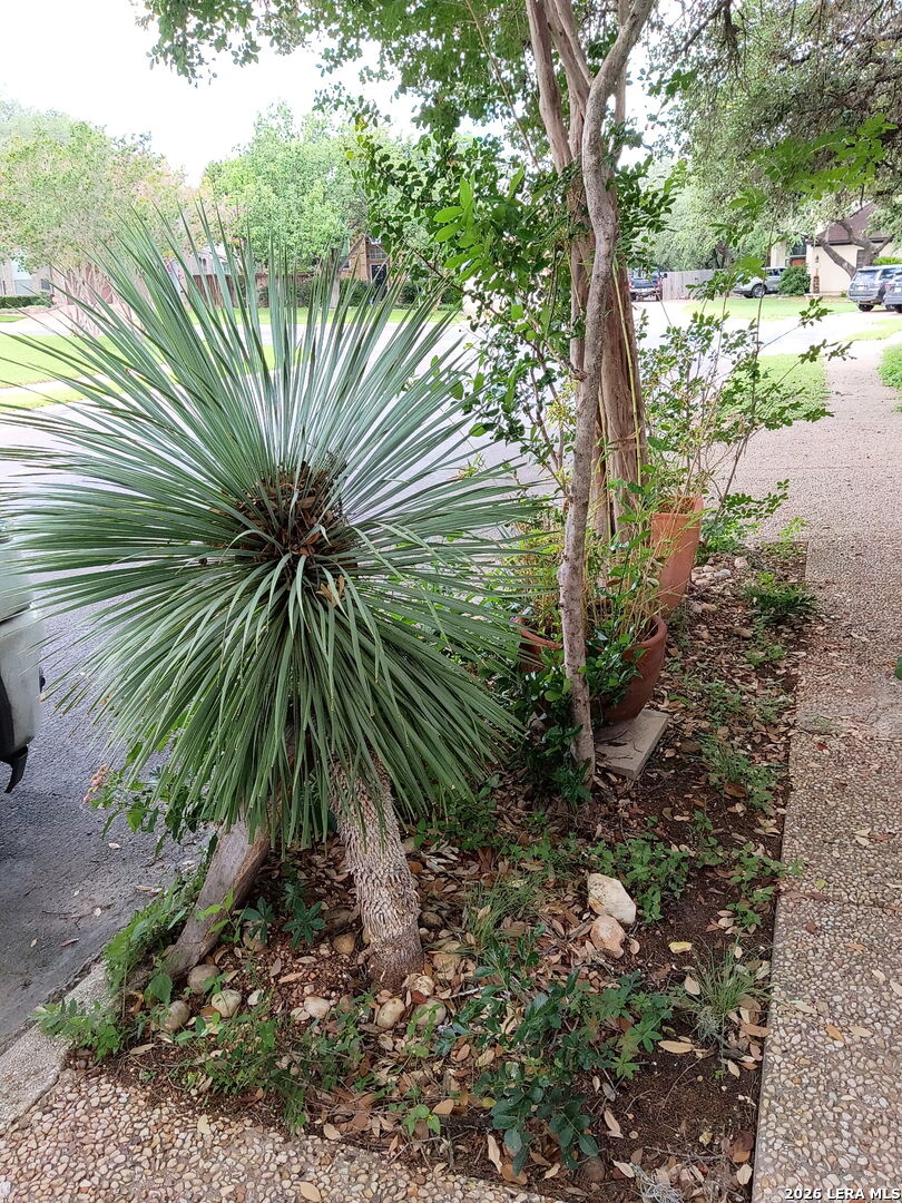 2039 Thicket Trail Drive San Antonio TX 78248