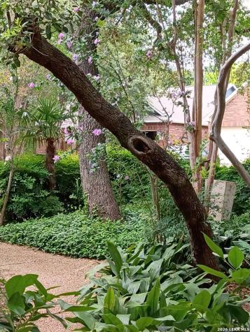 2039 Thicket Trail Drive San Antonio TX 78248