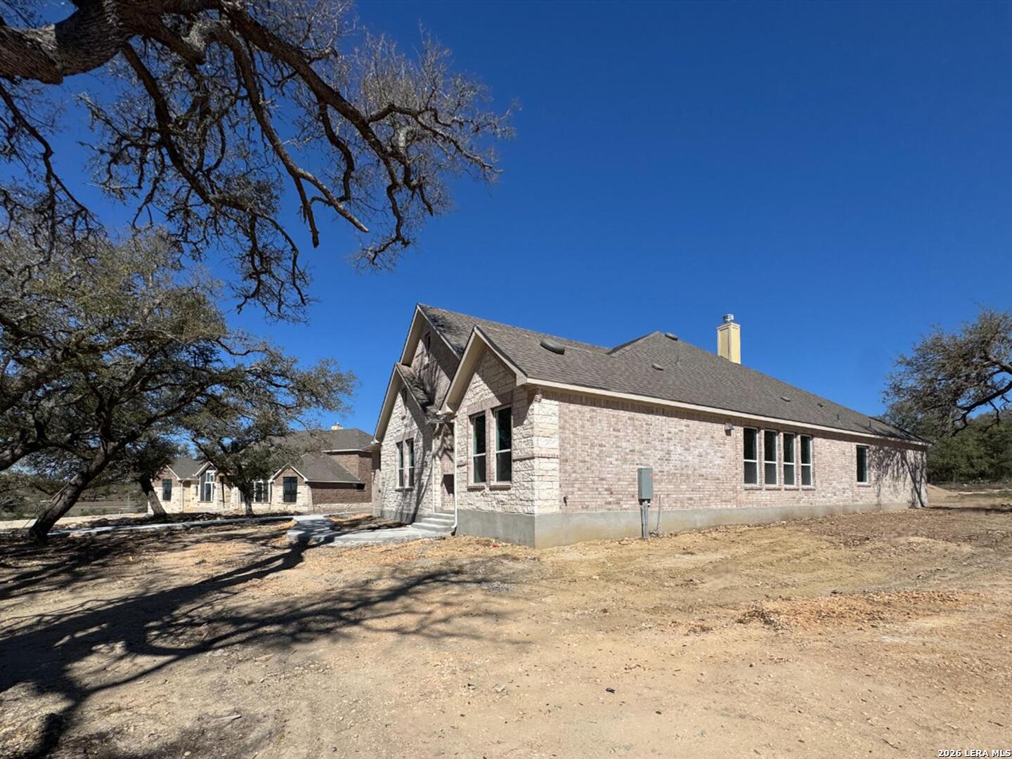 10891 Chestnut Warbler New Braunfels TX 78132